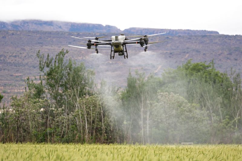 Agricultural drone na nag-iispray ng pinong ambon sa hanay ng mga puno sa tabi ng taniman