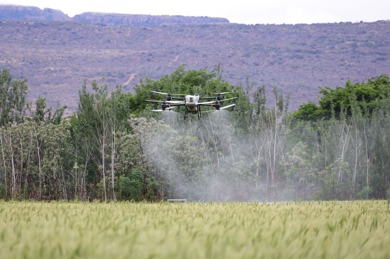Agricultural drone spraying over green vegetation with a broad mist trailing below